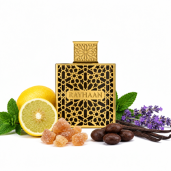 Rayhan elixir 100ml